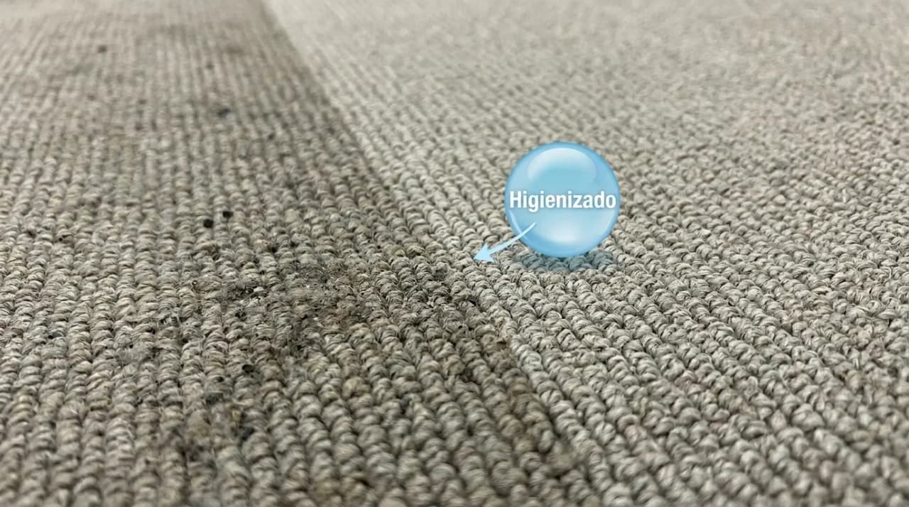 Higienização de carpetes